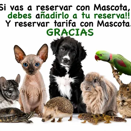 Casa De Aldea La Corexa * Bañugues